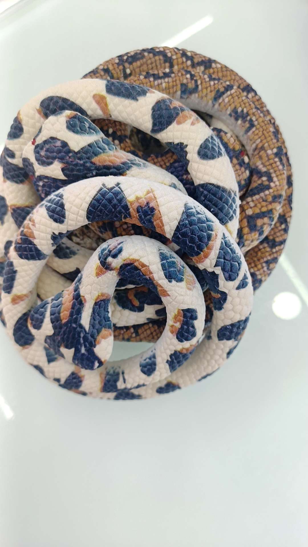 电子发光儿童玩具 玩具地摊热销款 摆摊必备发光玩具 童趣互动玩具1111111111111111111111111111详情图2