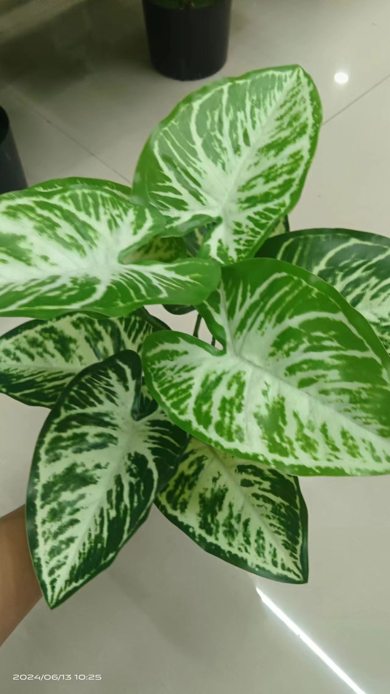 Artificial flowers and plants, artificial green plants, indoor and outdoor decoration, pothos, plastic small potted plants, home desktop, anthurium flower ornaments Specification image