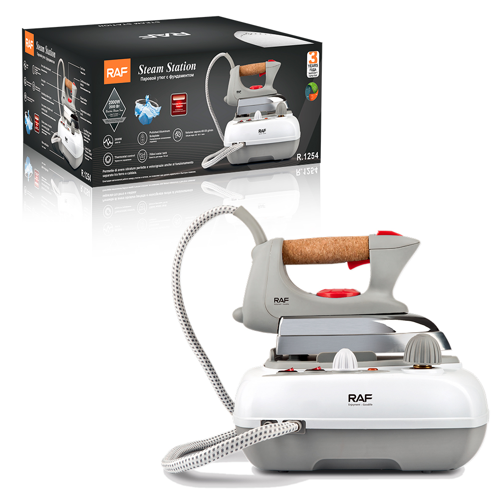 RAF European standard cross-border pressure steam iron, hanging bottle type large household steam iron, high-power iron details Picture