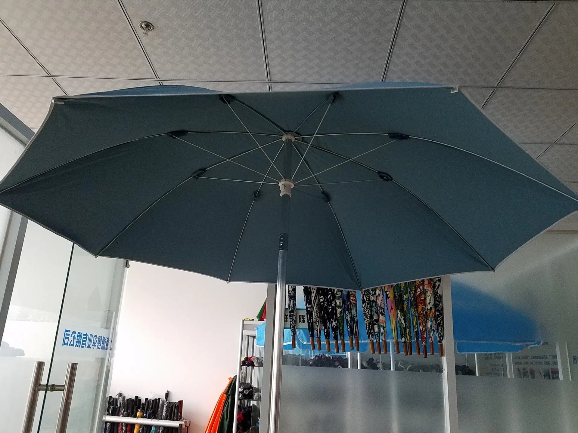 太阳伞 遮阳伞
