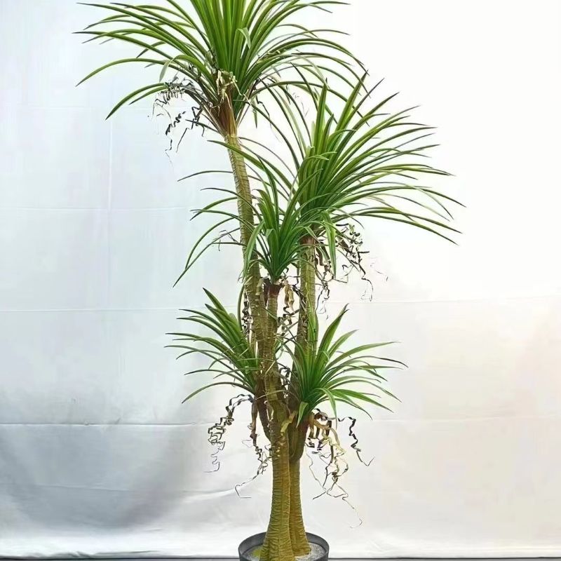   仿真 植物11242