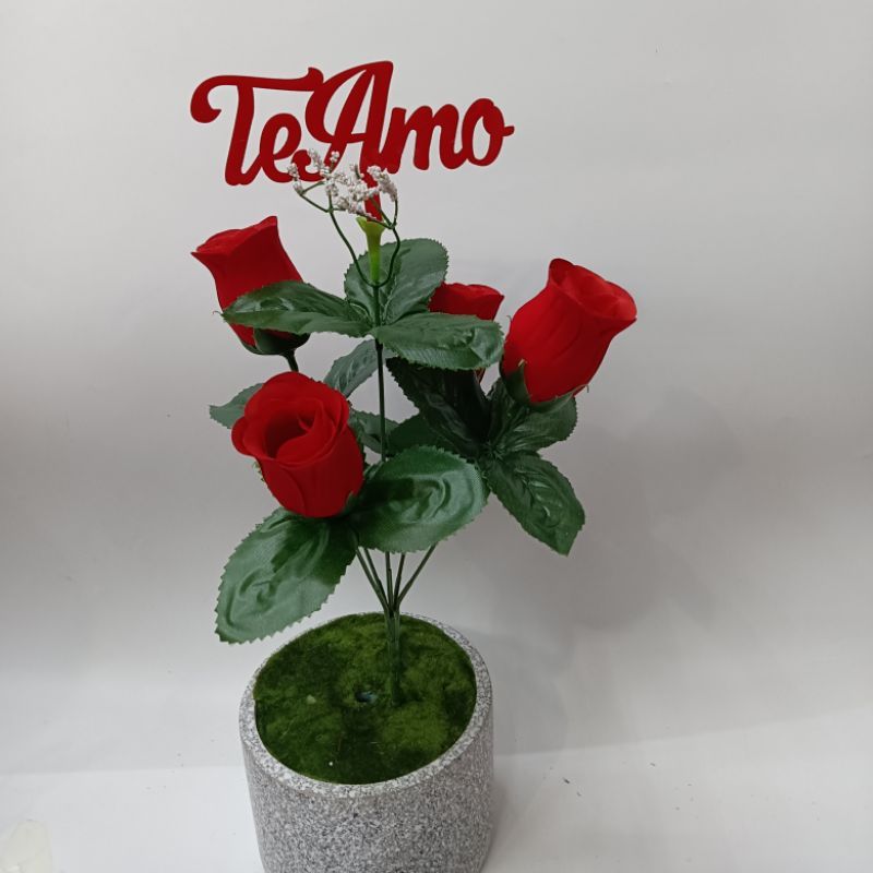 5头小康乃馨343ww