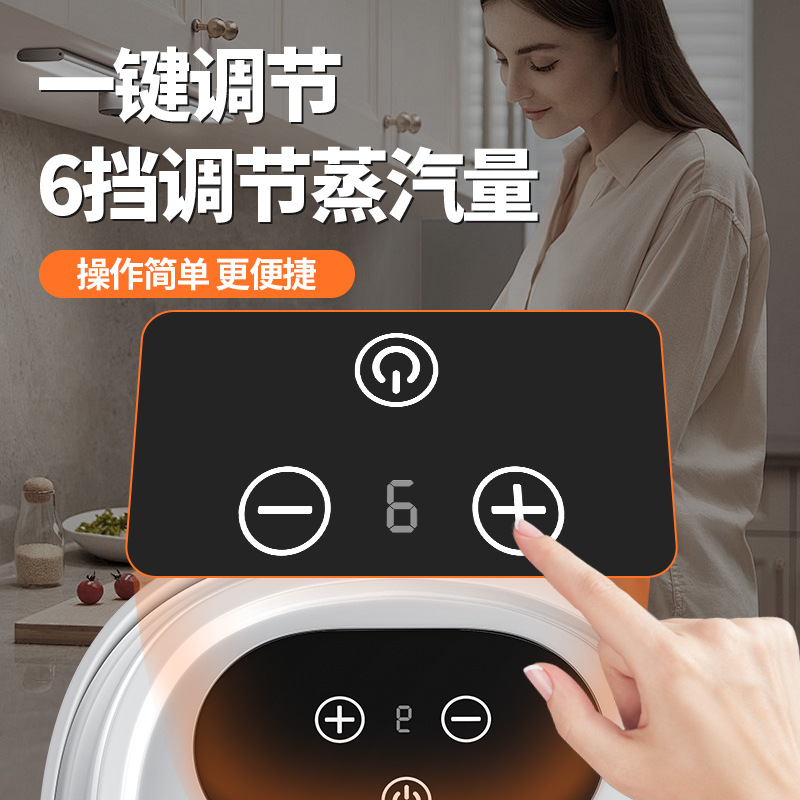 1.5L Touch Screen High Temperature Steam Cleaning Machine New High Pressure Oil Removal Decontamination Sterilization Cleaning Machine details Picture