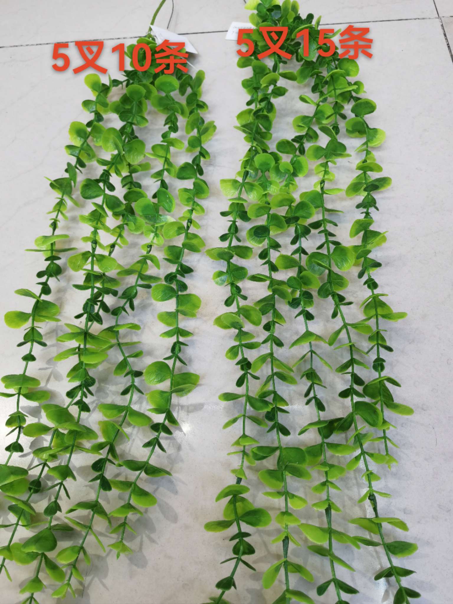精致植物工艺品 绿色生活装饰品 环保礼品 创意家居摆设 独特设计工艺品