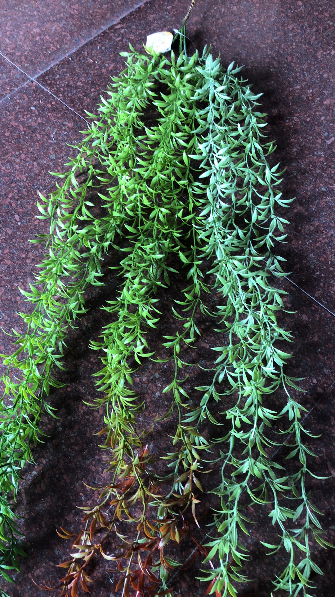 壁挂件小花，家居装饰品摆件，仿真植物小花小草，仿真种植植物