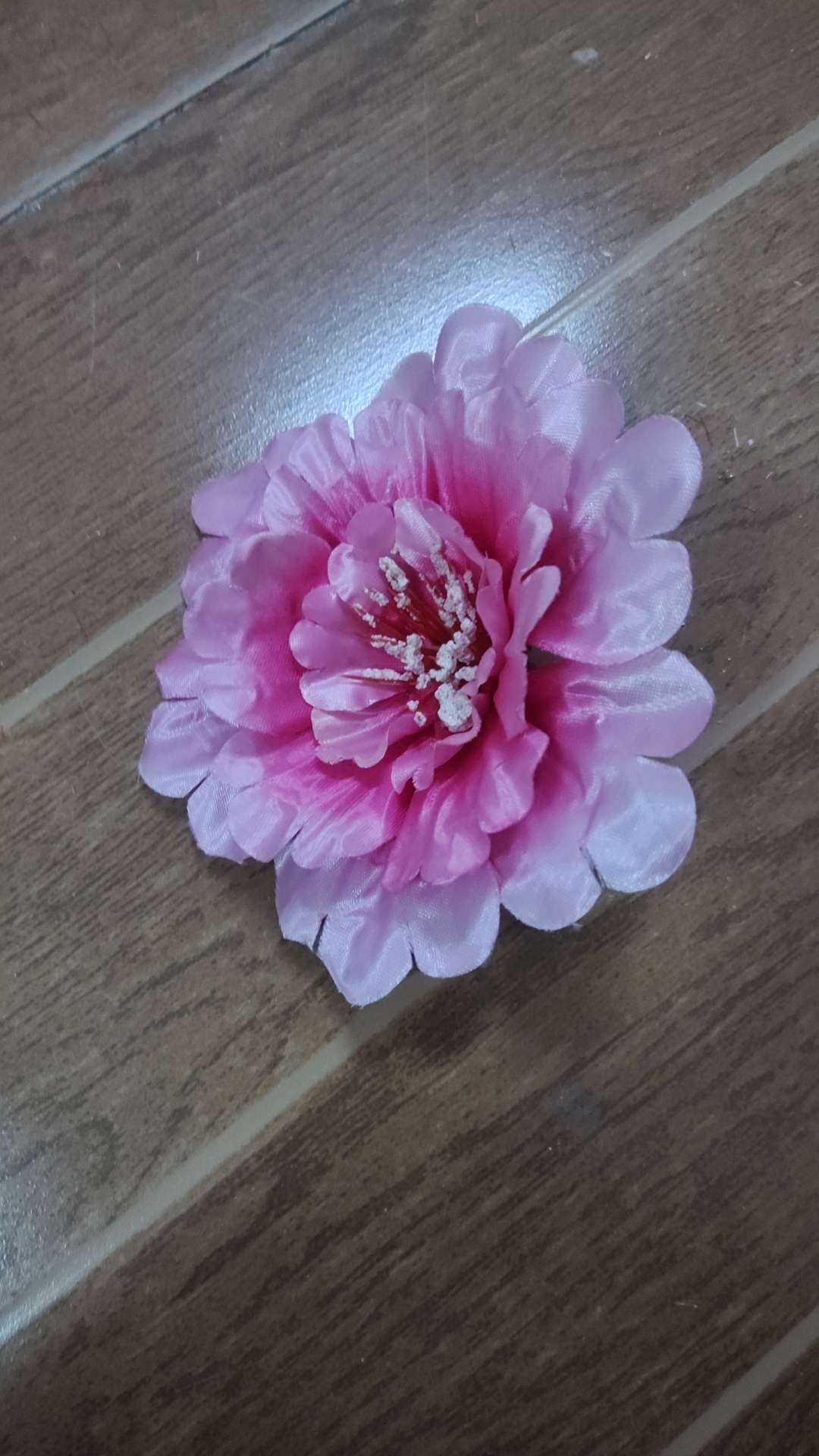 牡丹菊花头