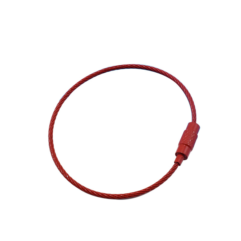 钥匙扣/钥匙扣挂件/钥匙链/桃木钥匙挂/皮革钥匙扣白底实物图