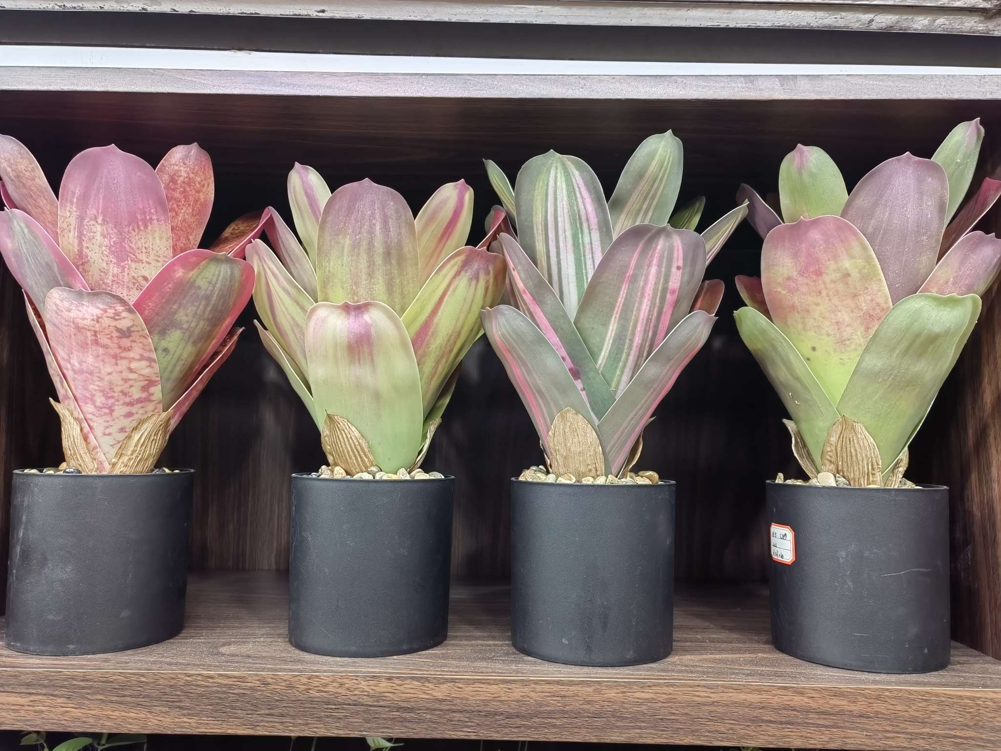 暴力熊萌粒 树脂工艺品 儿童玩具 礼品装饰 树脂配件 创意手工艺品收藏品细节图