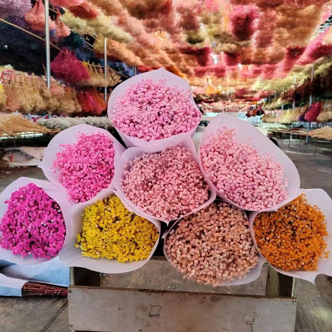 永生满天星细节图