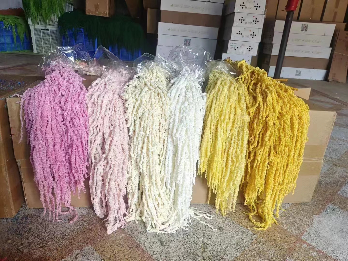 永生花/玻璃罩永生花/手工编织diy花/藤圈/毛线勾编积细节图