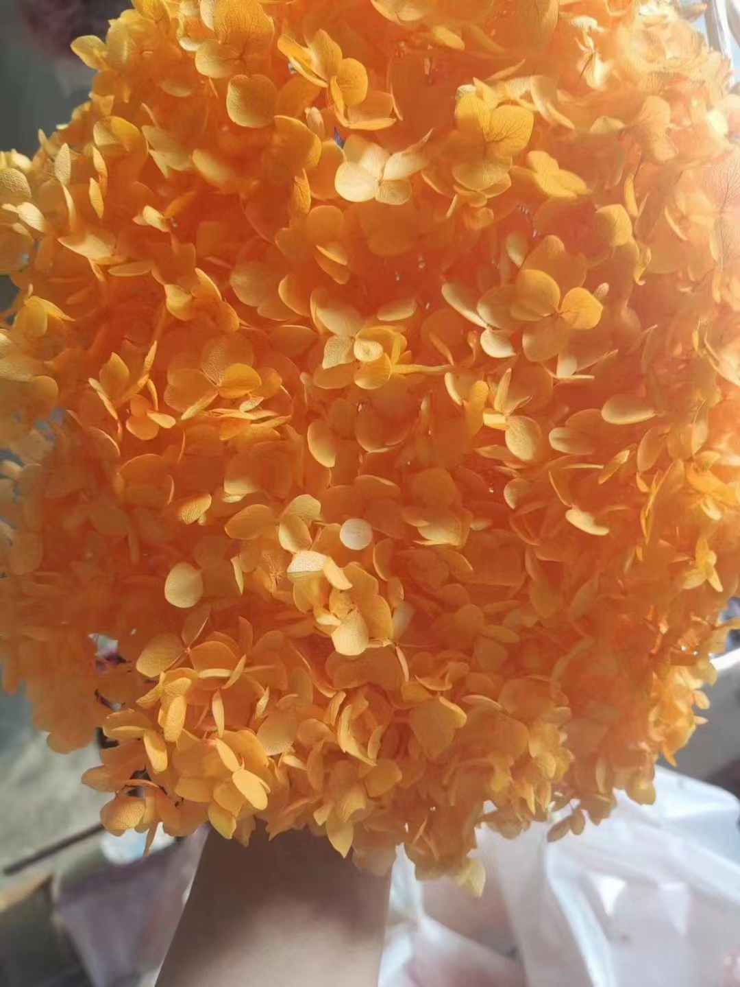 永生花/玻璃罩永生花/手工编织diy花/藤圈/毛线勾编积白底实物图