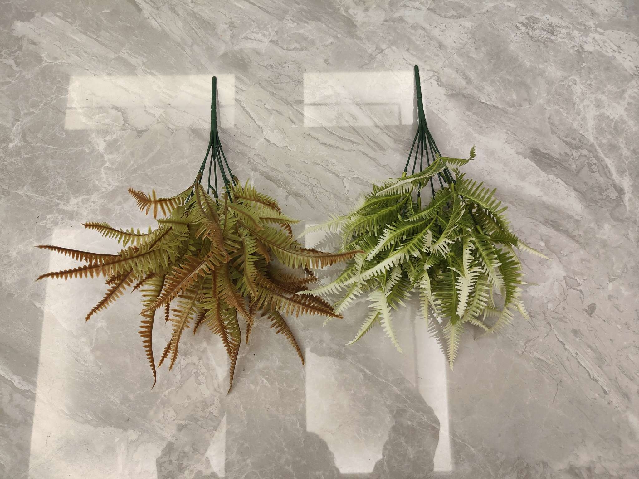 7 forks of firewood leaf Application Scenario