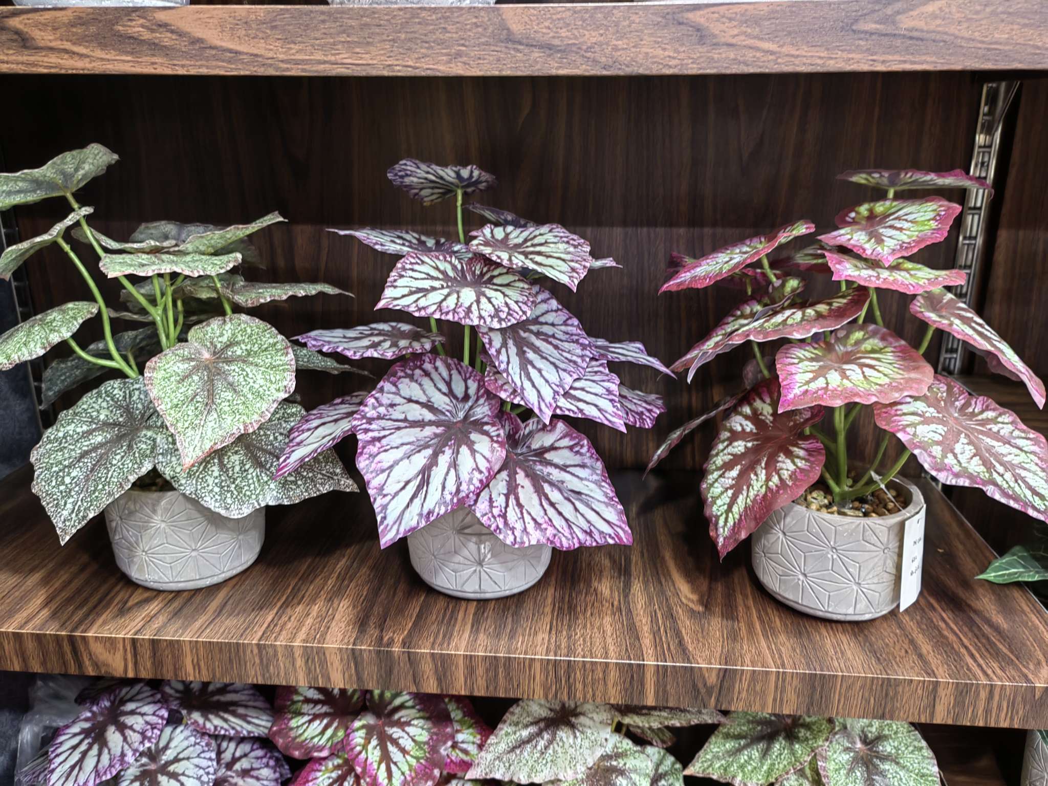 家饰植绒毛仿真花饰塑料花 美丽太阳花玫瑰花簪花装饰 假柏树配件室内装饰品细节图