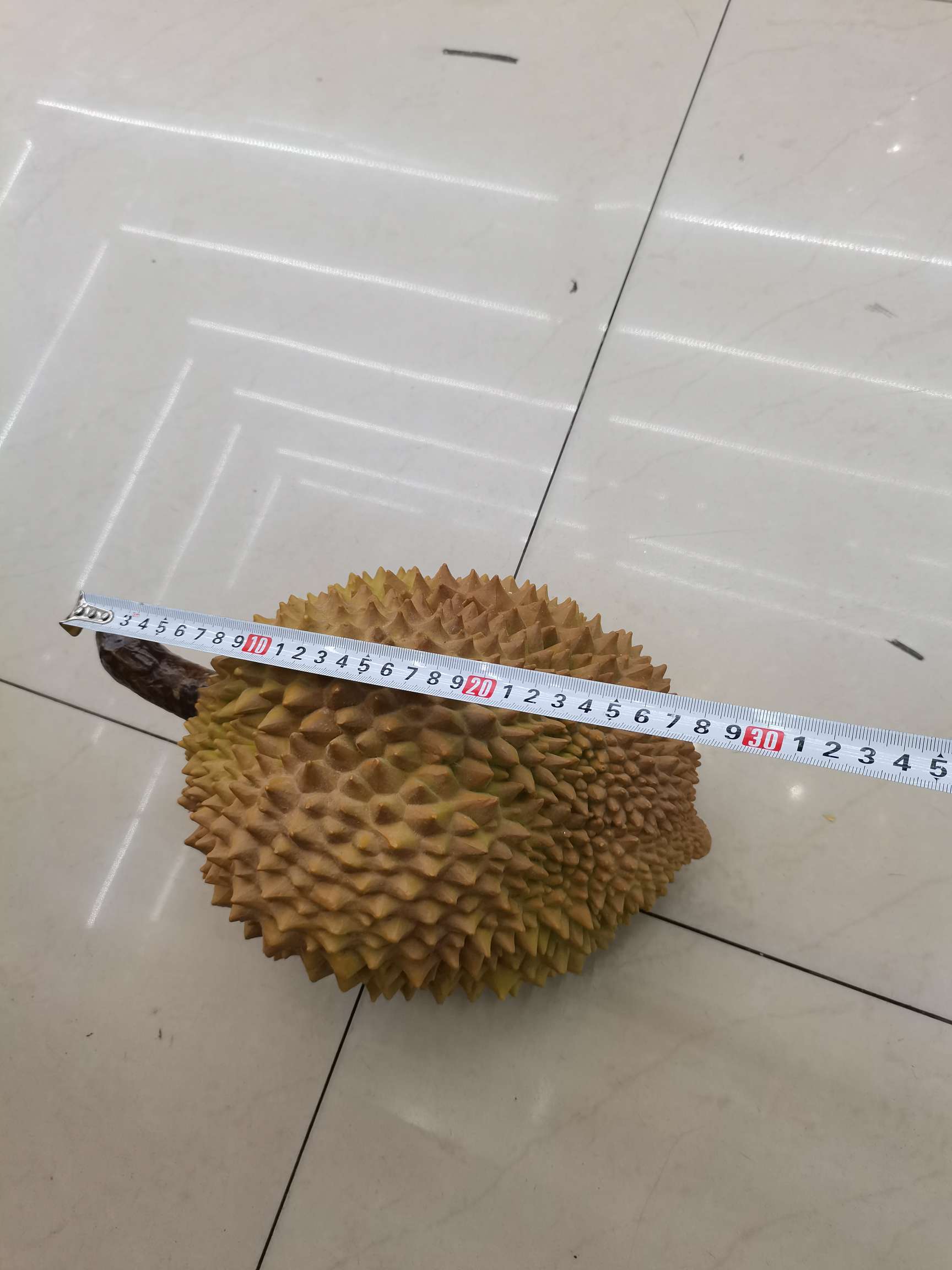 仿真水果，榴莲，材质：塑胶，用途：道具， 家居摆色，型号：大，中，小白底实物图