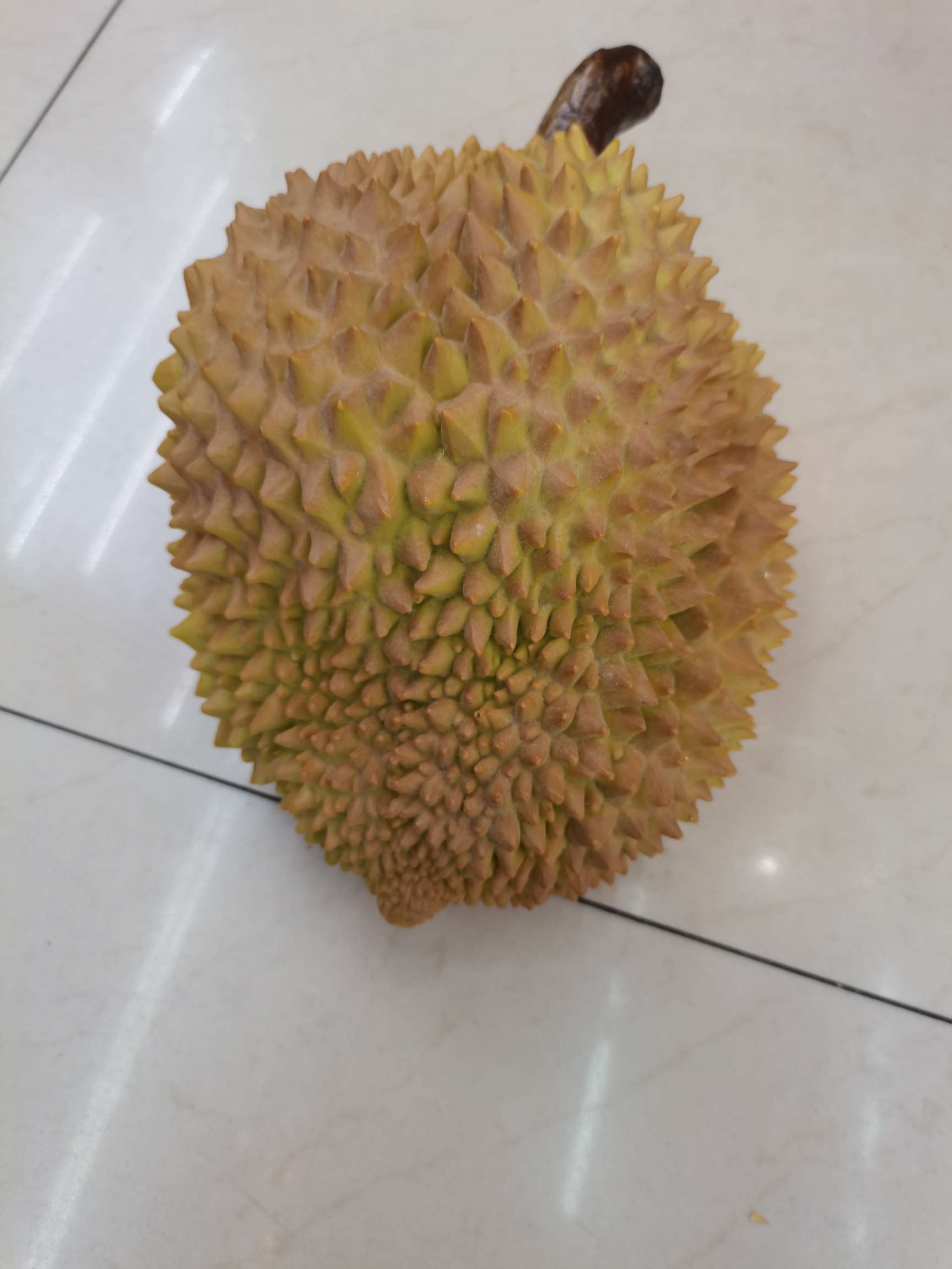 仿真水果，榴莲，材质：塑胶，用途：道具， 家居摆色，型号：大，中，小细节图