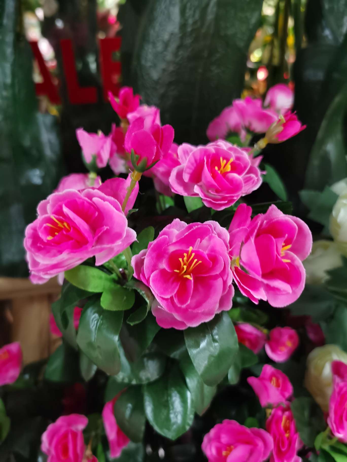 仿真花枝白底实物图