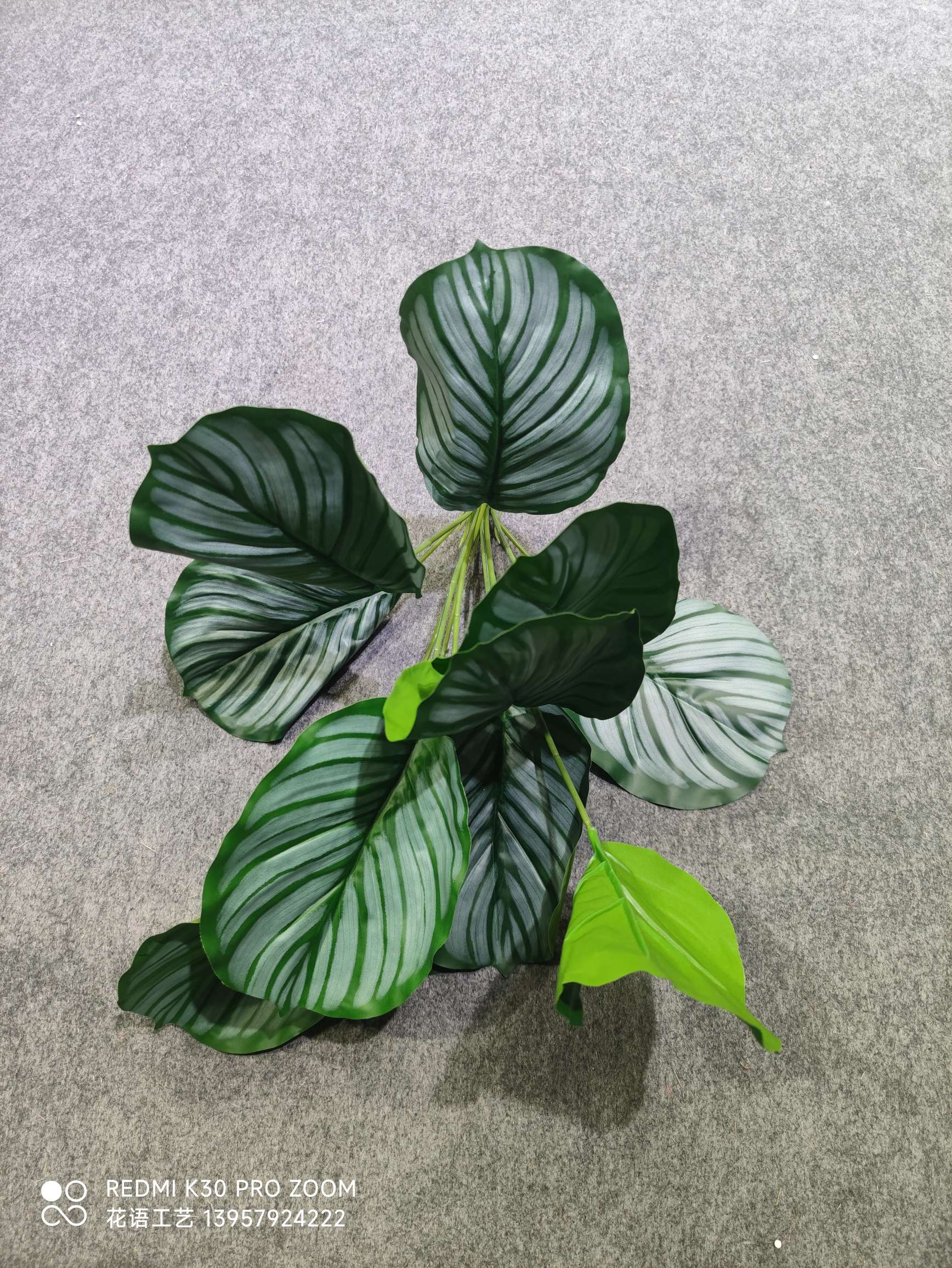 Nordic simulation pothos potted plant, 18-leaf tall branch, large bunch of turtle-back leaves, indoor landscaping decoration, evergreen banana leaves detail image 7