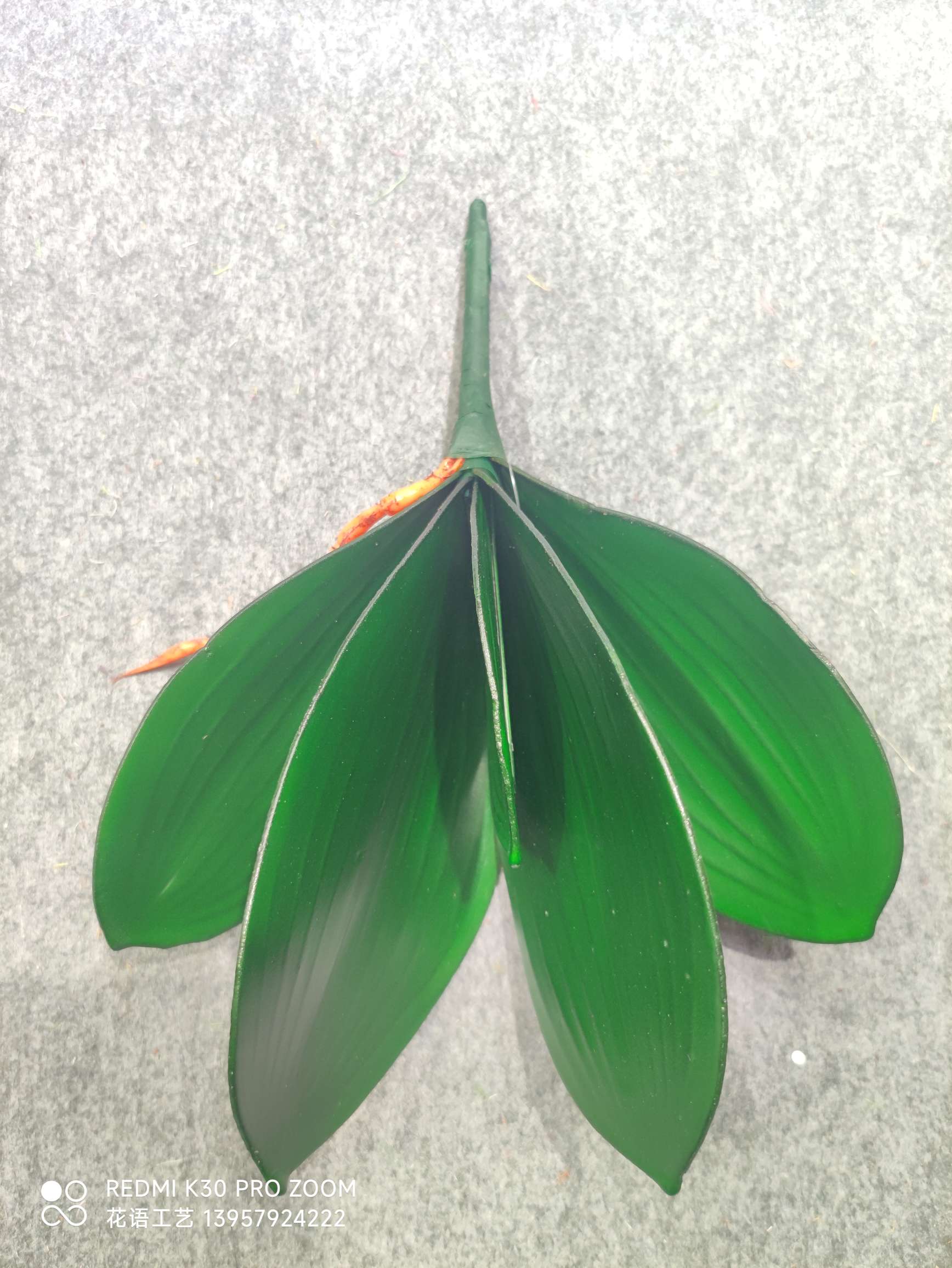 Nordic simulation pothos potted plant, 18-leaf tall branch, large bunch of turtle-back leaves, indoor landscaping decoration, evergreen banana leaves detail image 5