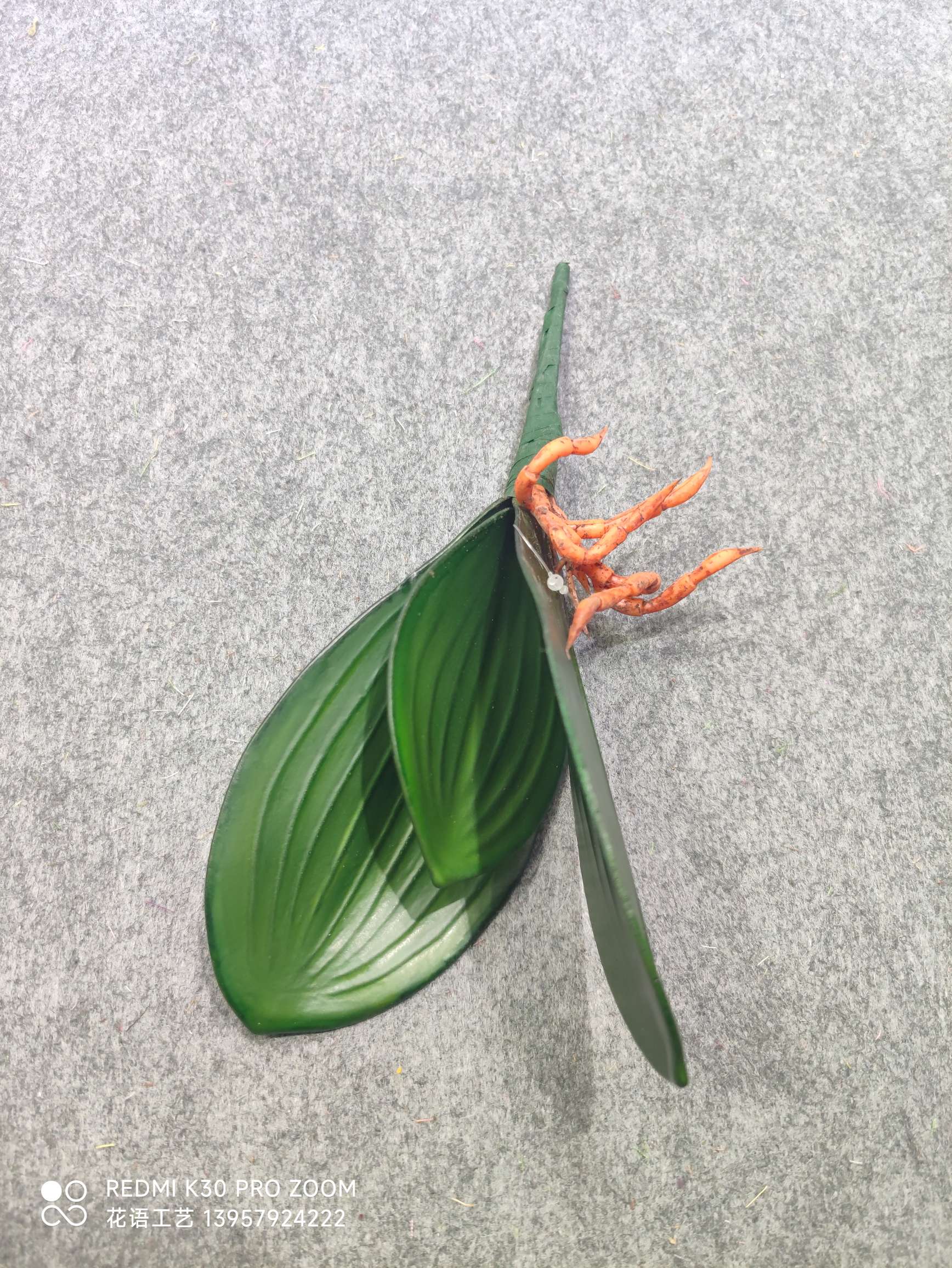 Nordic simulation pothos potted plant, 18-leaf tall branch, large bunch of turtle-back leaves, indoor landscaping decoration, evergreen banana leaves detail image 10