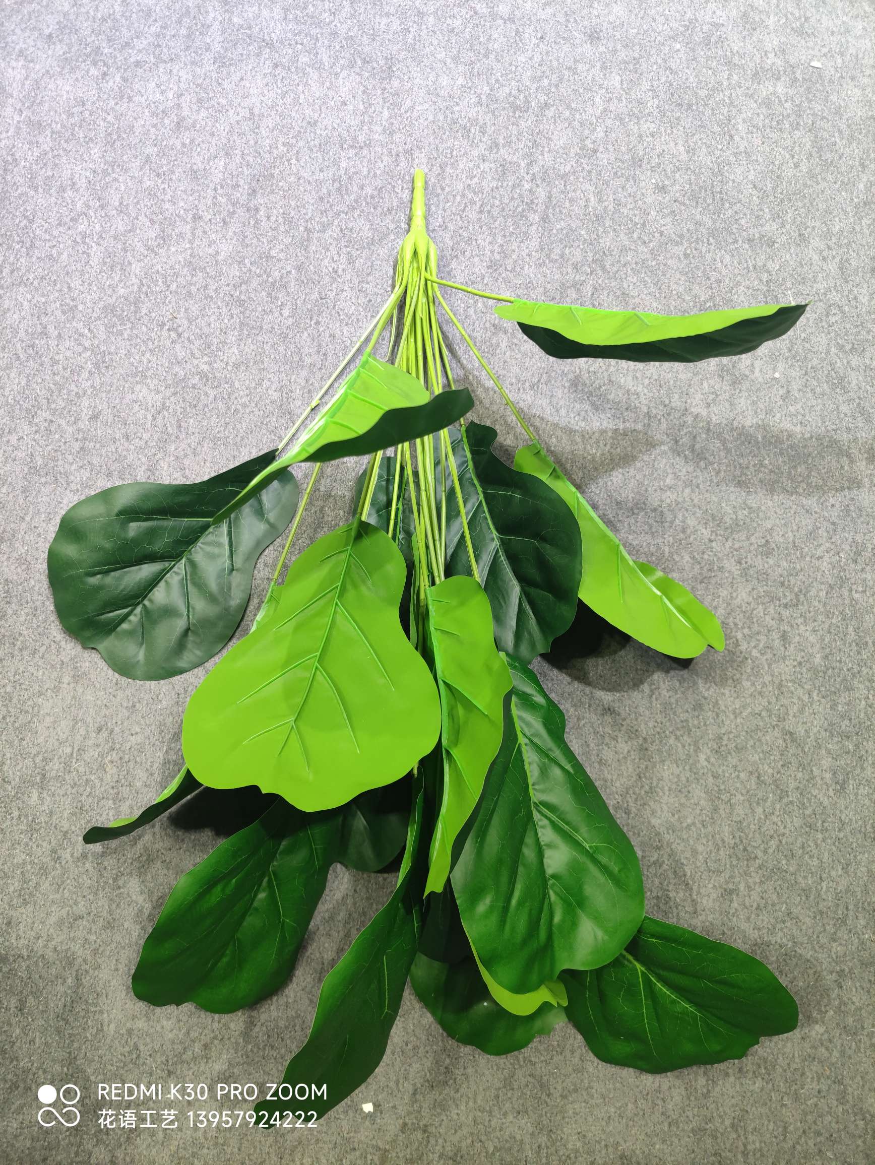 Nordic simulation pothos potted plant, 18-leaf tall branch, large bunch of turtle-back leaves, indoor landscaping decoration, evergreen banana leaves detail image 9