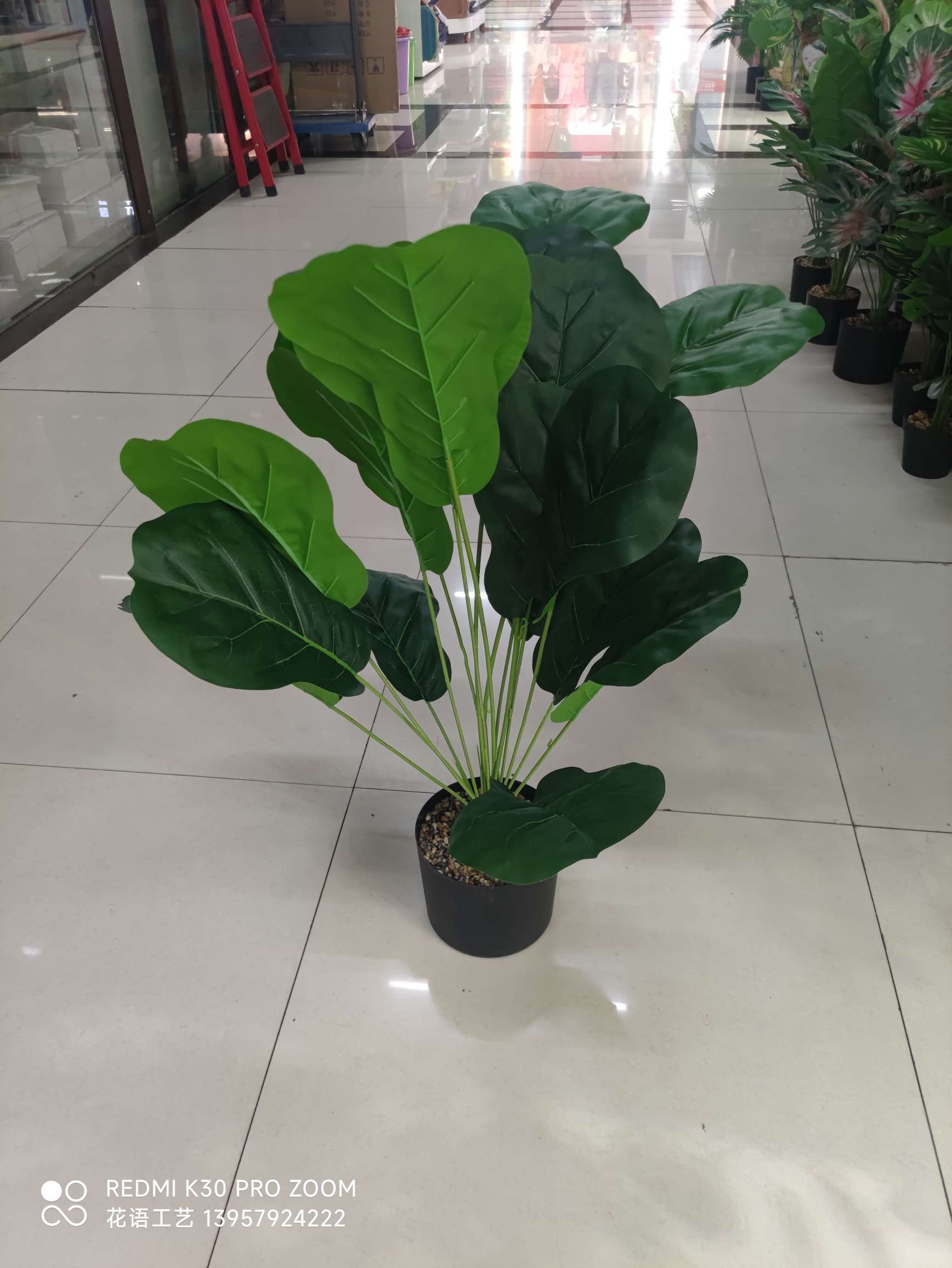 Nordic simulation pothos potted plant, 18-leaf tall branch, large bunch of turtle-back leaves, indoor landscaping decoration, evergreen banana leaves detail image 2