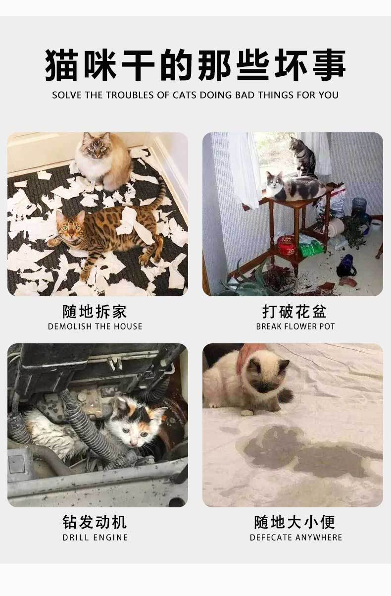 批发家用防猫刺垫防猫网小型驱猫垫花园方形防猫网15*20cm详情3