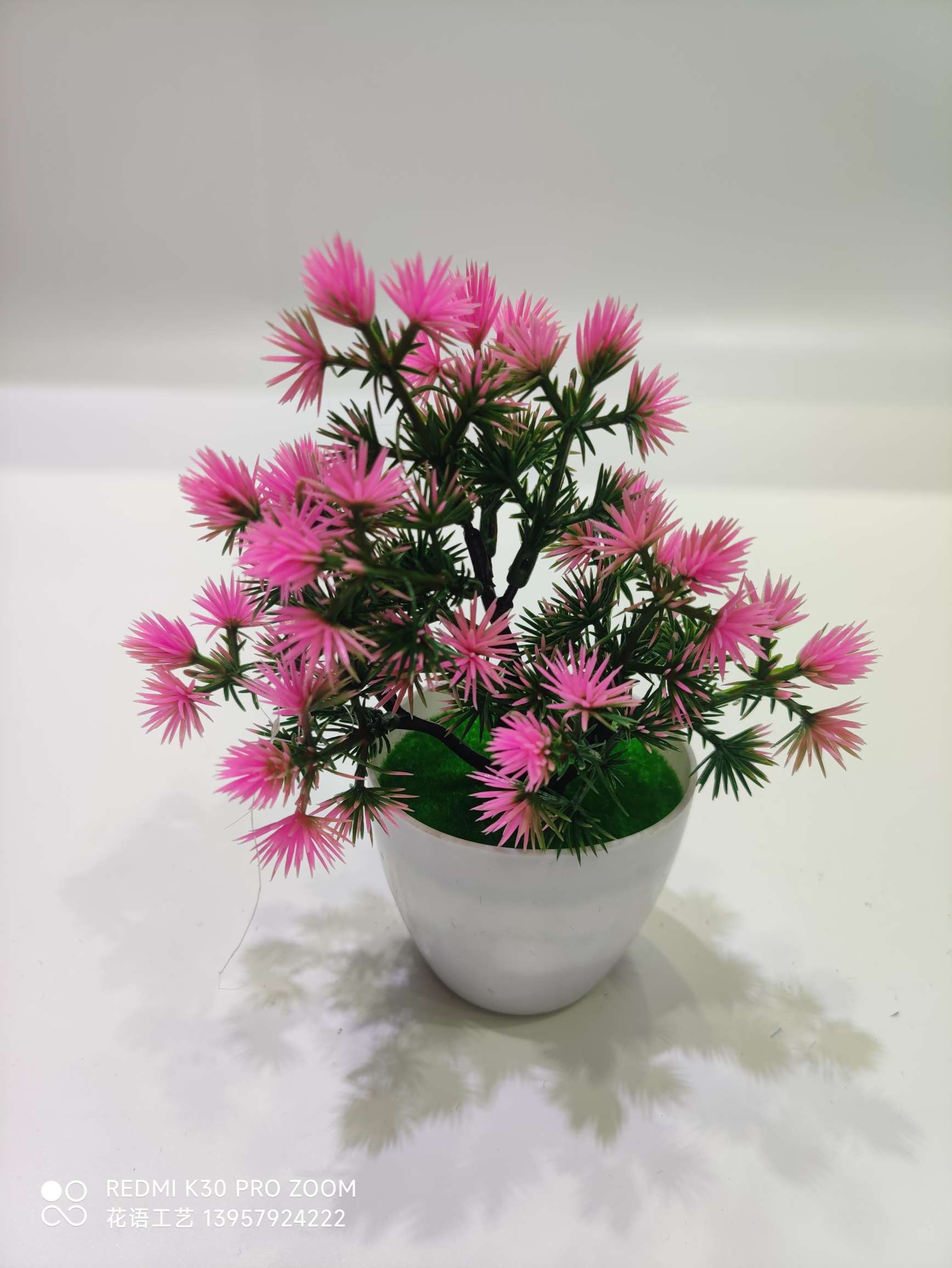 Artificial Plant Pot Fake Flower Decoration Plastic Rose Bonsai Indoor Home Desktop Decoration Five-Leaf Plum Wholesale Application Scenario