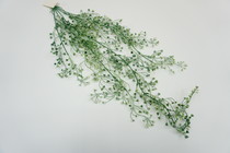 Evergreen wall hanging simulation of green grass simulation rattan wall decoration 0007