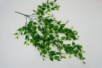 Evergreen wall hanging simulation of green grass simulation rattan wall decoration 012