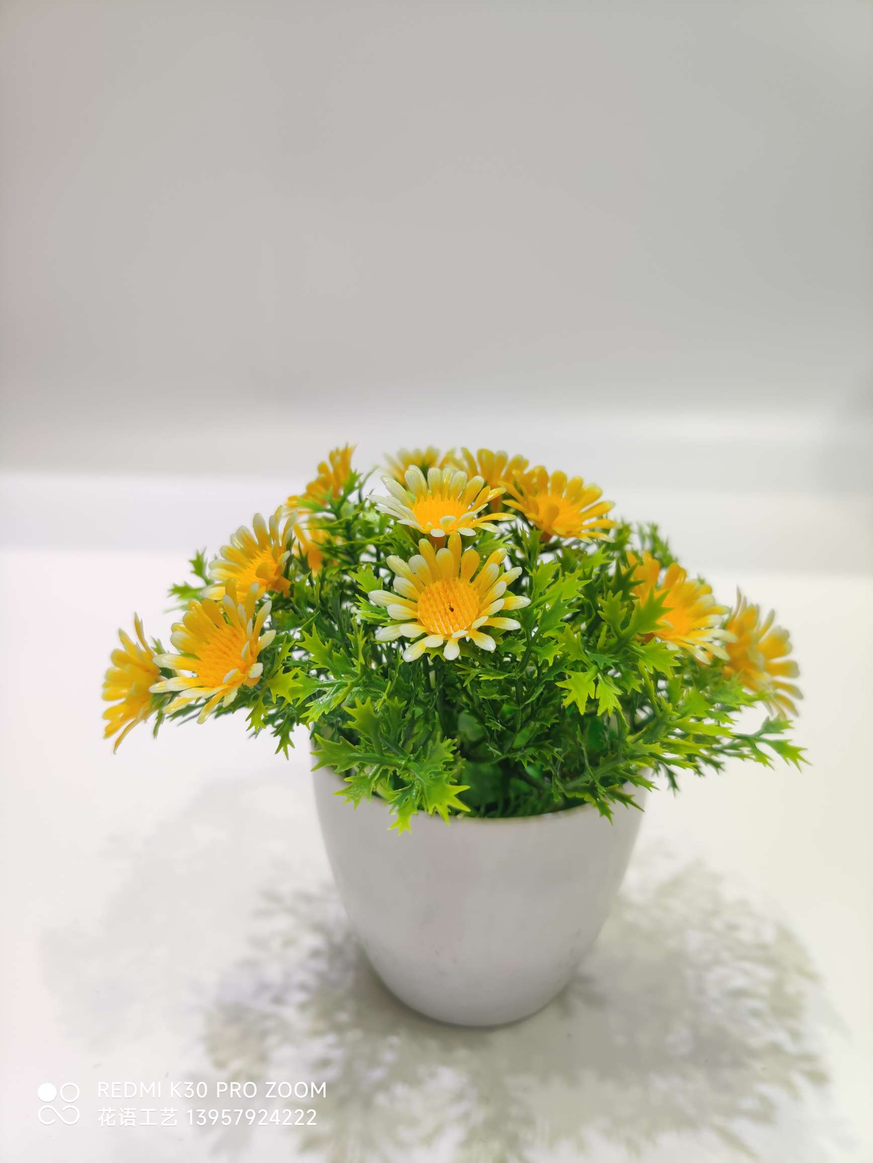 Artificial Plant Pot Fake Flower Decoration Plastic Rose Bonsai Indoor Home Desktop Decoration Five-Leaf Plum Wholesale undefined