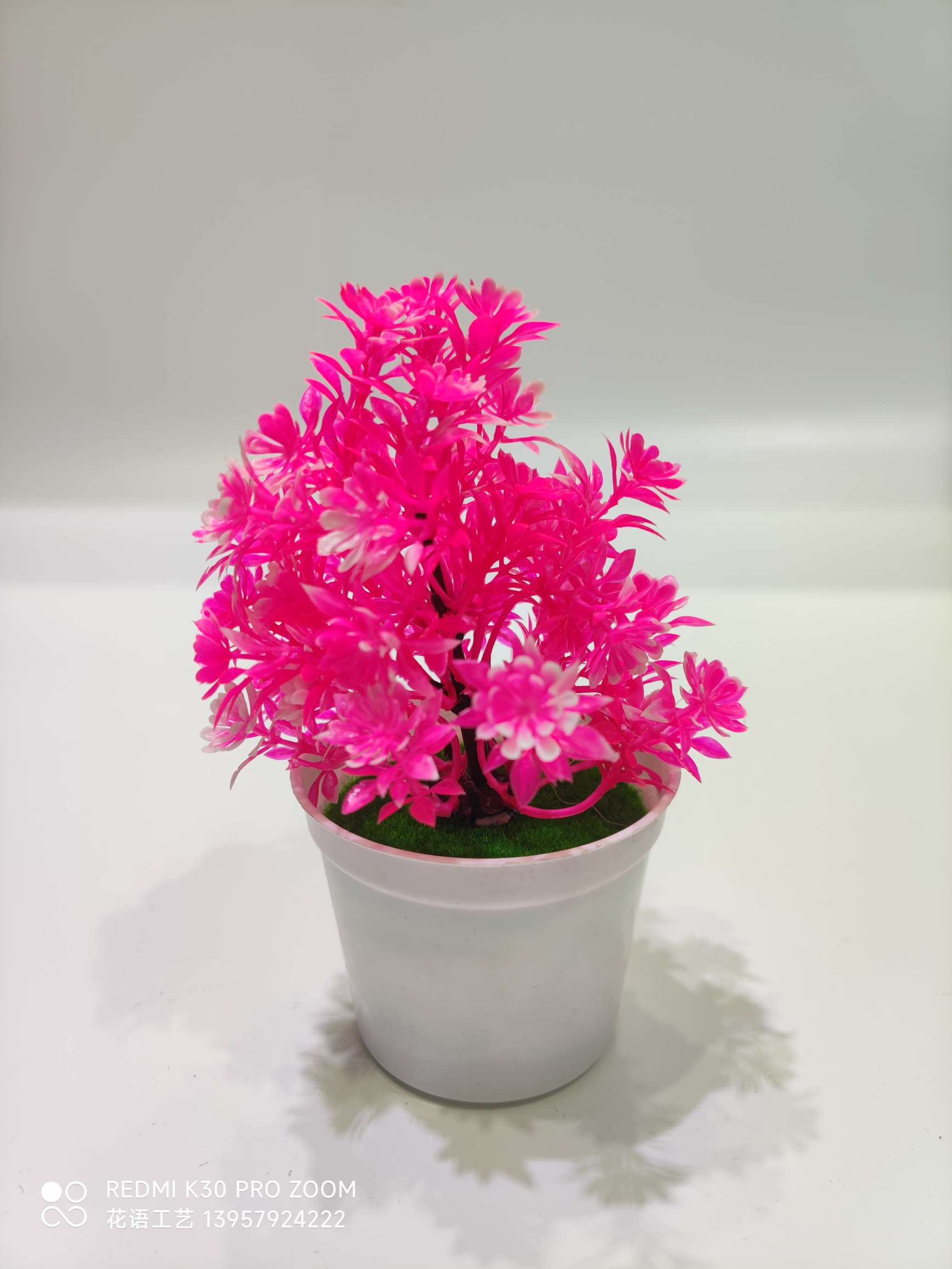 Artificial Plant Pot Fake Flower Decoration Plastic Rose Bonsai Indoor Home Desktop Decoration Five-Leaf Plum Wholesale undefined