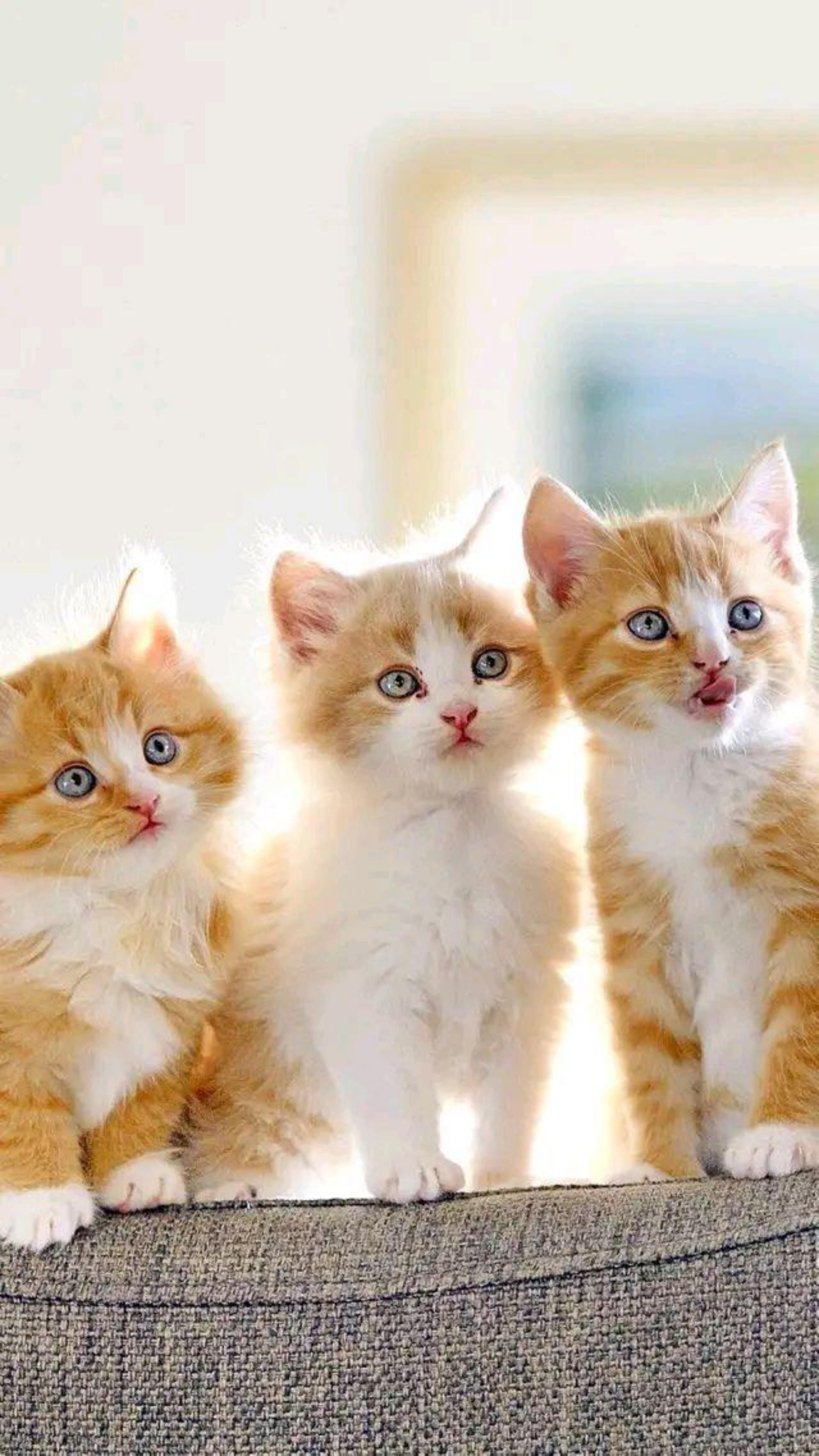 Wedding Holding Roses' Move '121321 Underwear Scatter Place Annoying Annoying Annoying Annoying Annoying Annoying Annoying Annoying Annoying Annoying Annoying Water Water Water Water Water Water Water Water Water Water Water Water Water Water Water Water Water Water Water Water Water Application Scenario