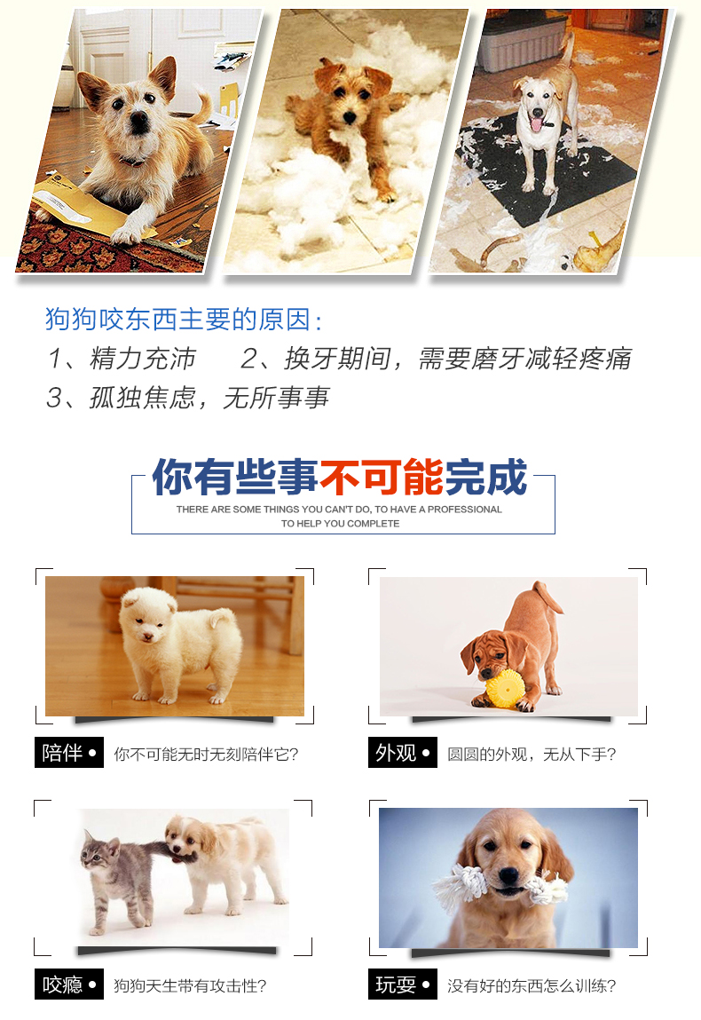 狗狗玩具 宠物用品 玩耍娱乐宠物玩具 持久耐咬训练互动发声玩具复活节兔子系列详情3