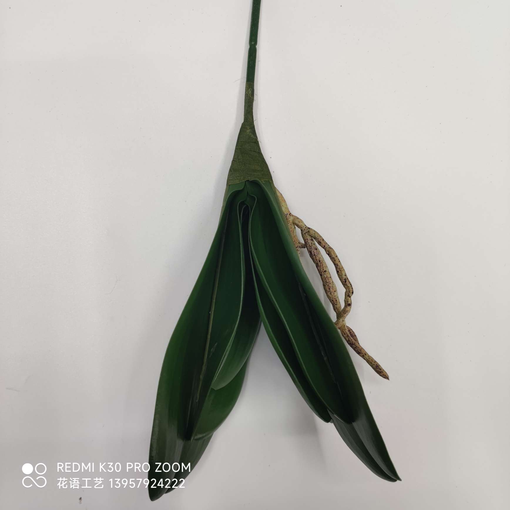 Artificial flower Phalaenopsis leaves, soft material leaves, EV leaves, home artificial flowers, hotel decorative green plants wholesale Item Picture
