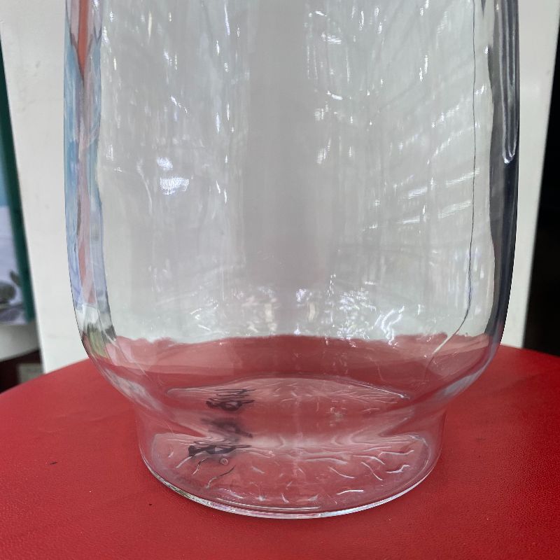 玻璃杯/水杯/一健速开茶杯/玻璃车载茶杯/玻璃杯红酒细节图