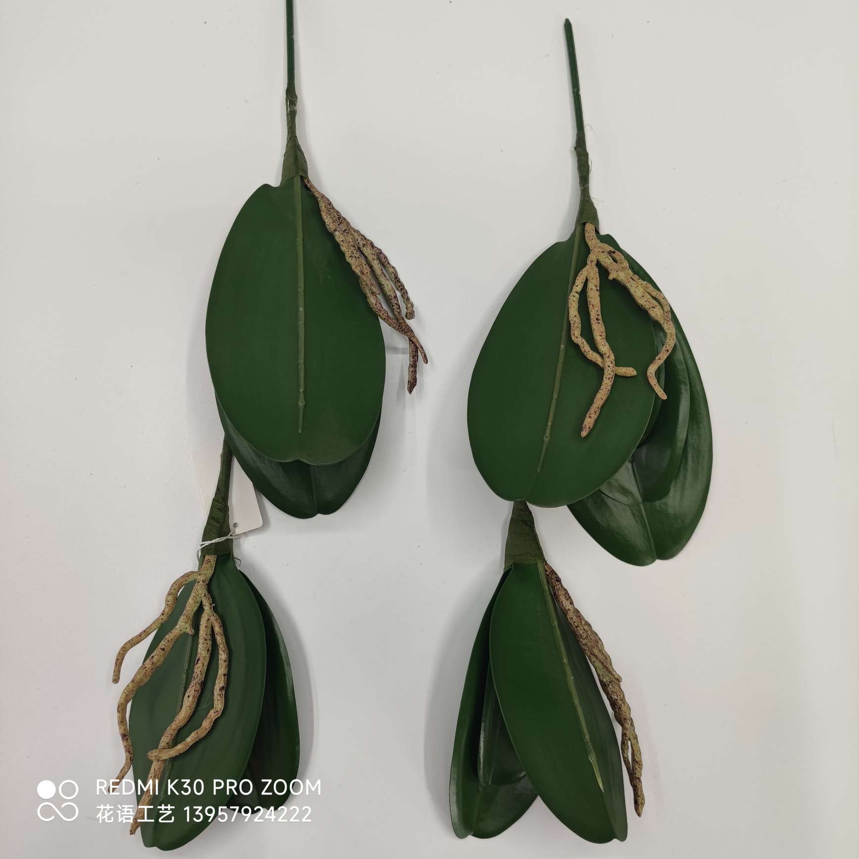 仿真花蝴蝶兰叶软质材料叶子EV叶片居家假花酒店装饰绿植批发