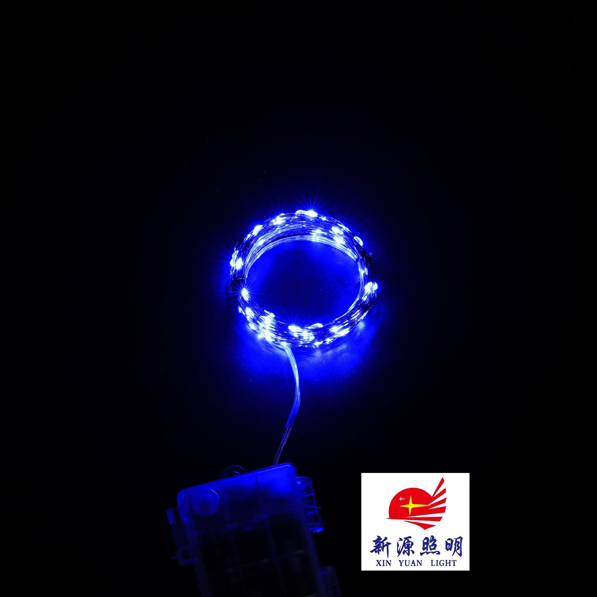 室外LED灯串实物图