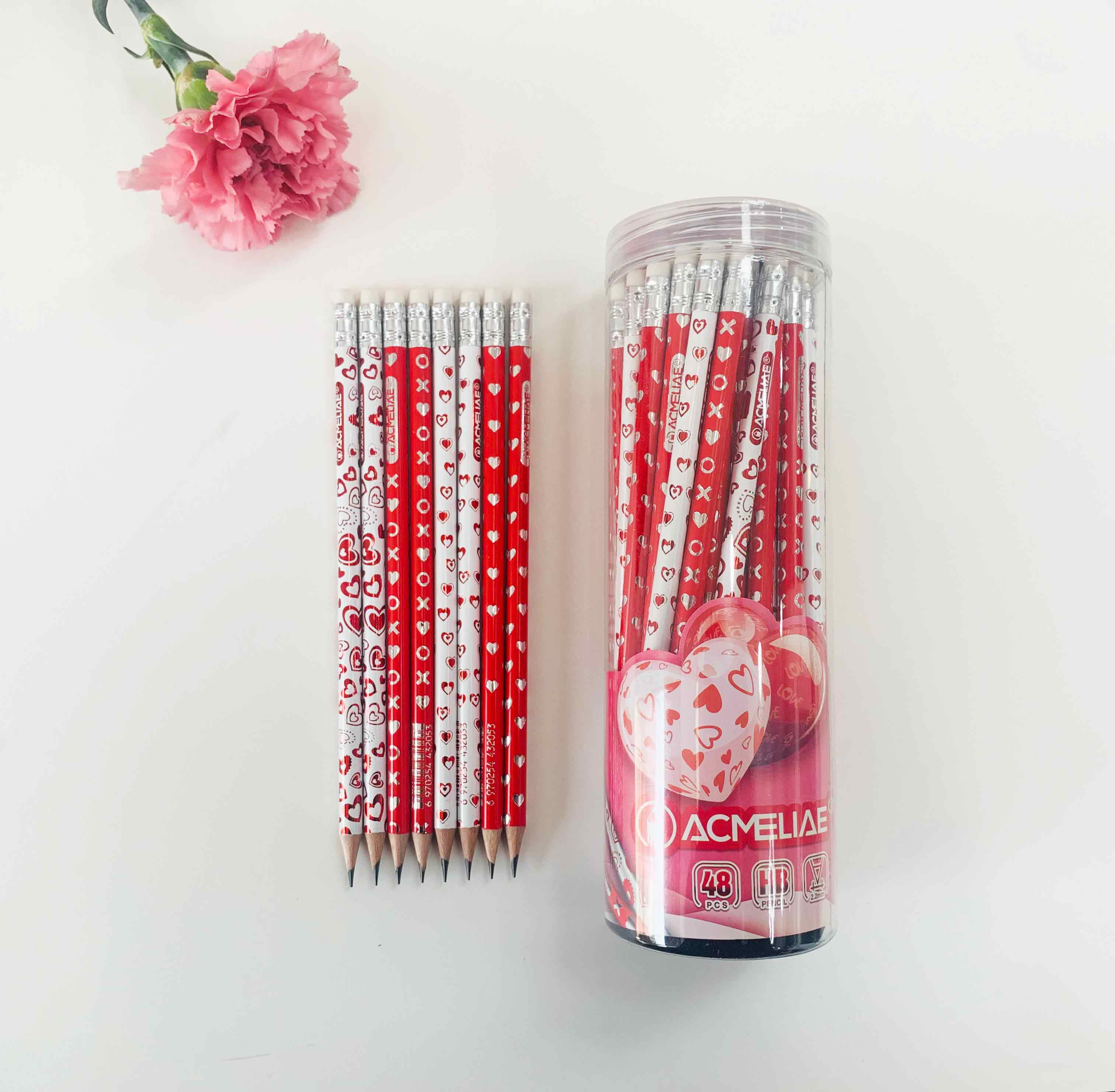 ACMELIAE 48 PCS HB pencil sharpened/PET tube Item Picture