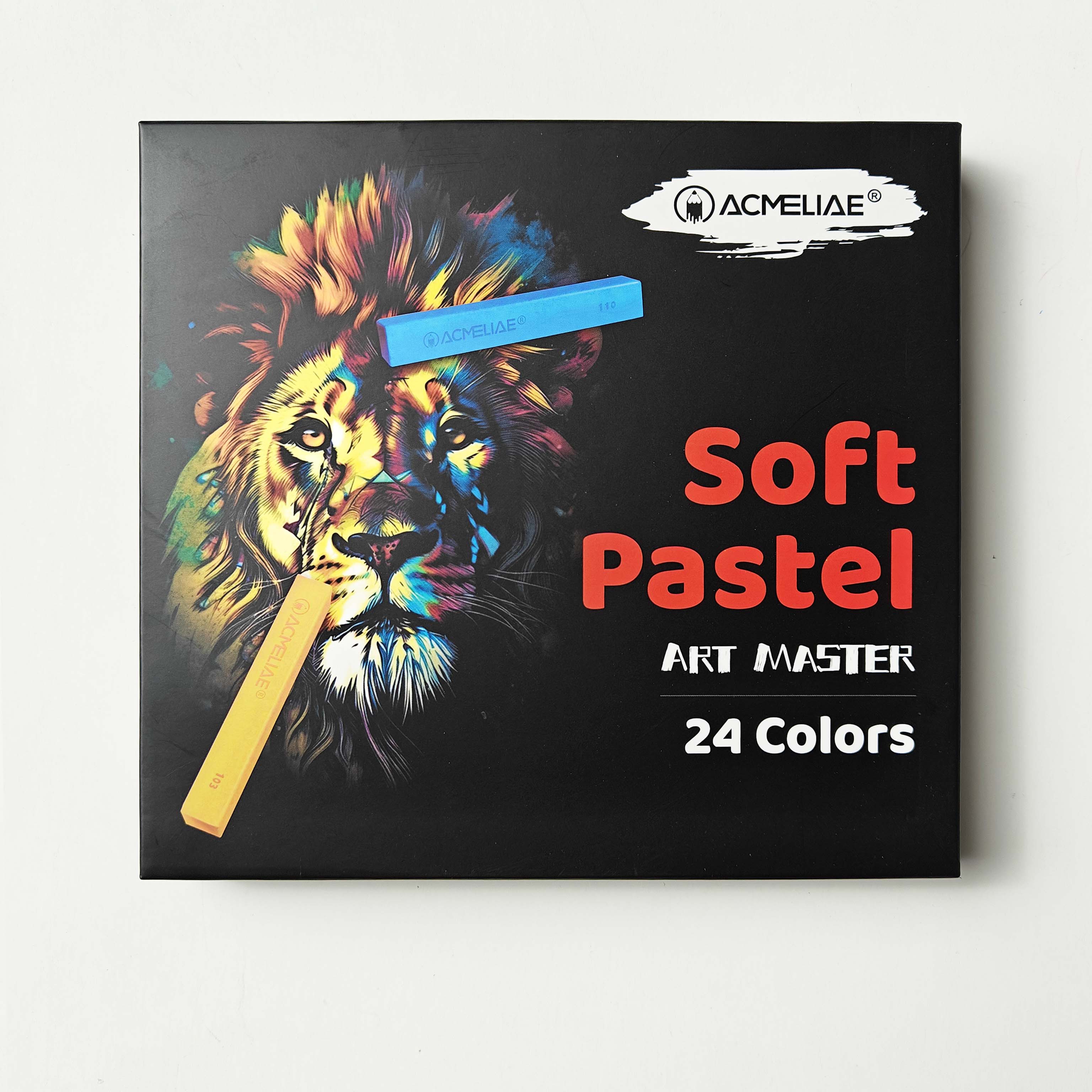 ACMELIAE SPC-24 24 Color Soft Pastel for Drawing full figure