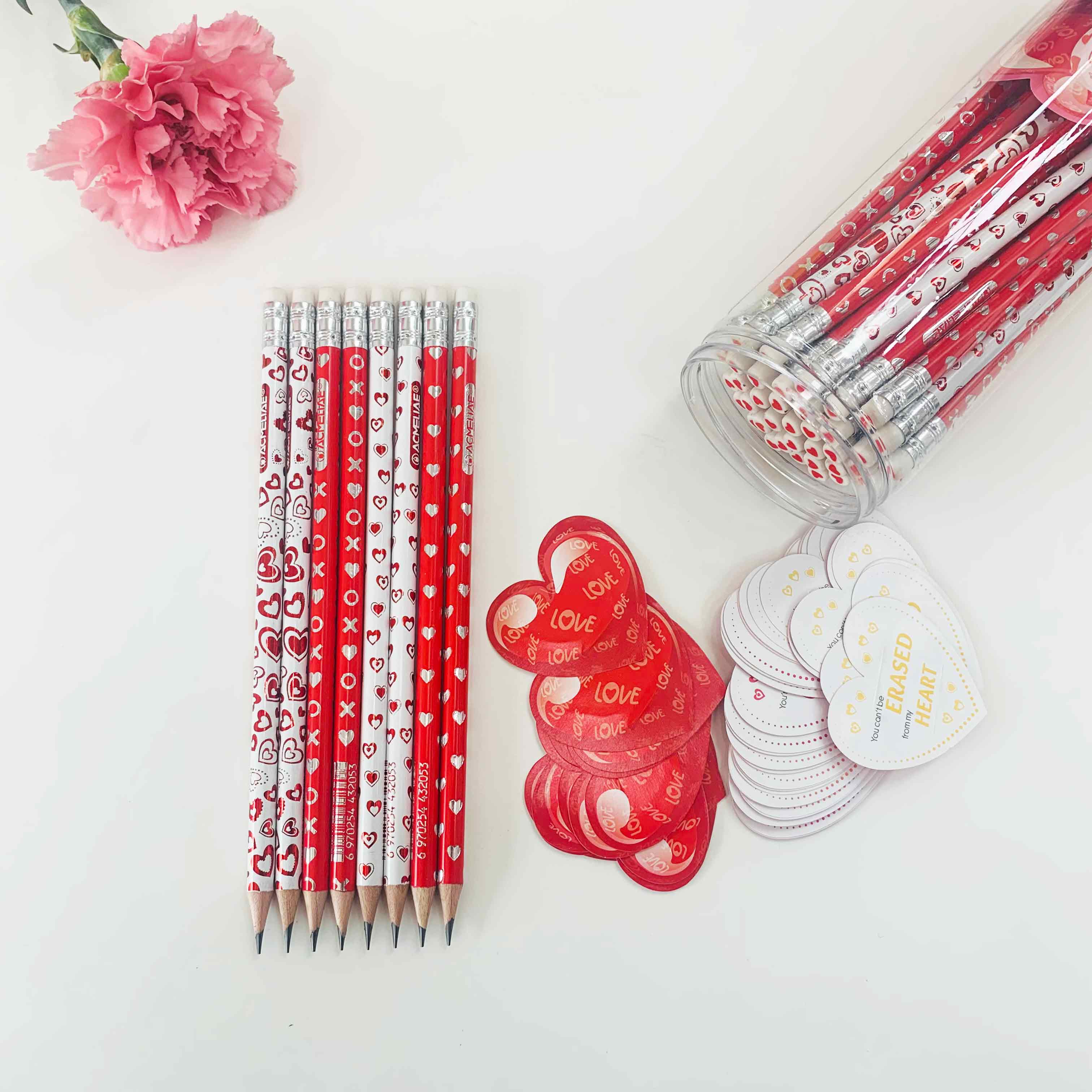 ACMELIAE 48 PCS HB pencil sharpened/PET tube details Picture