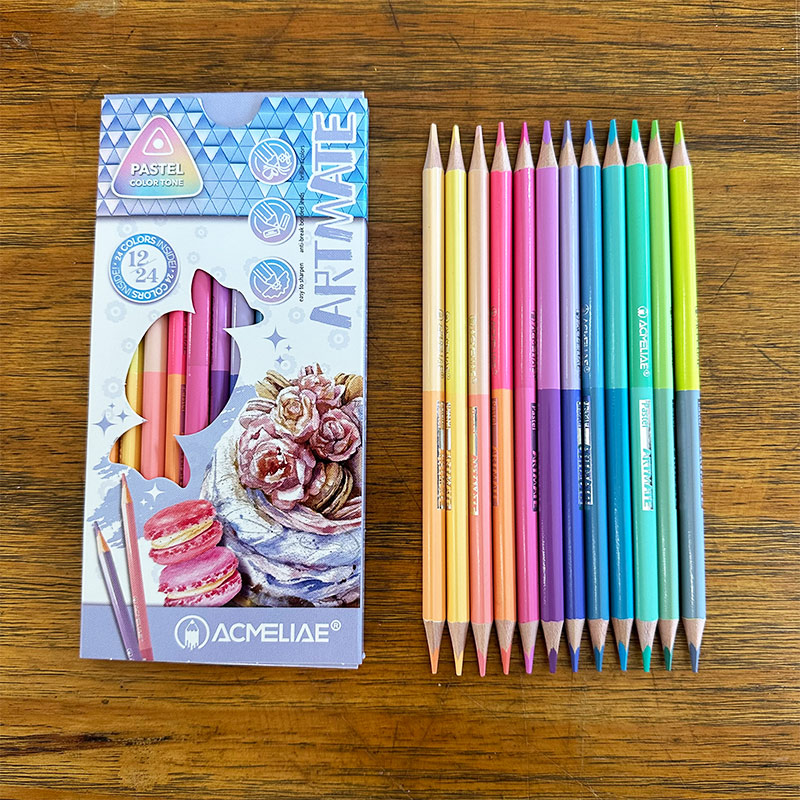 ACMELIAE 12PCS 24 Colors Patel bi-color pencils details Picture