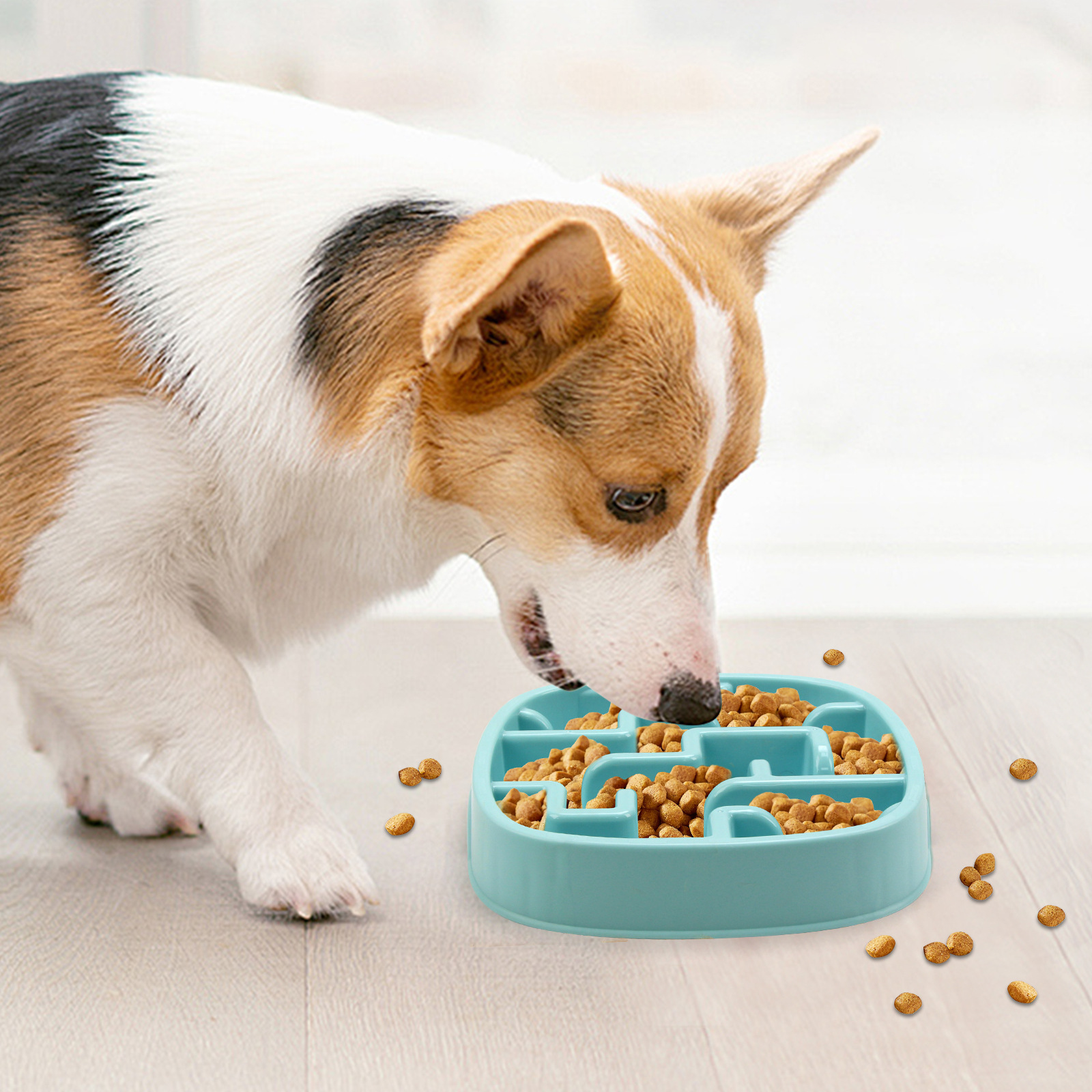 狗狗食具实物图