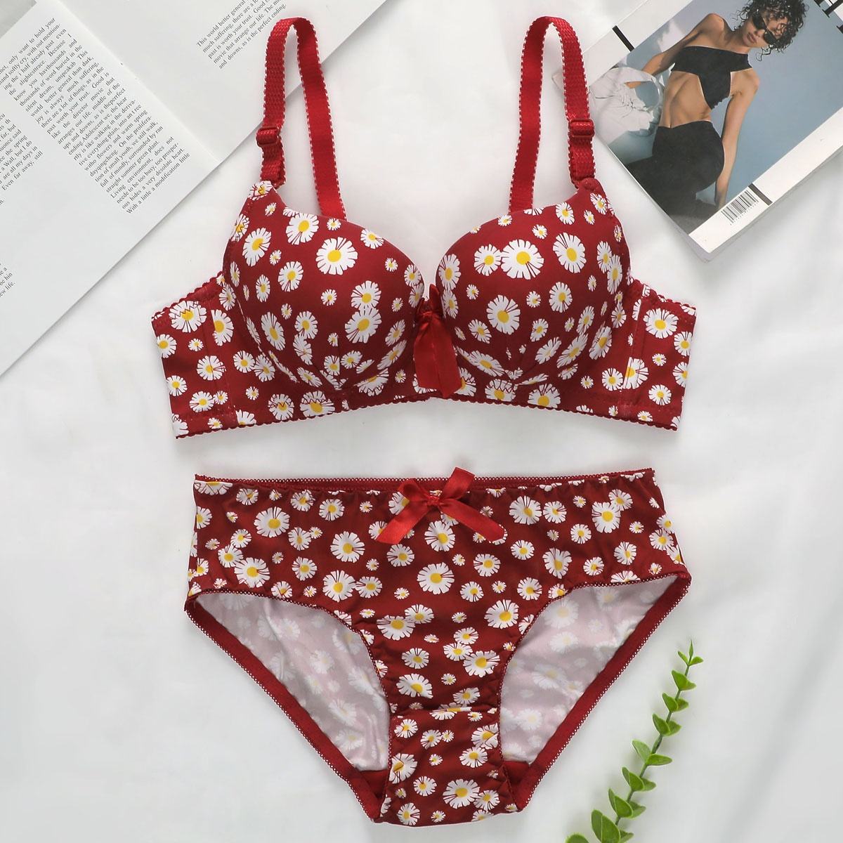 Olivia's Night cross-border new lingerie women's Comfort, European and American sizes, high-quality custom factory, new best-selling printed women's steel ring gathering bra Application Scenario