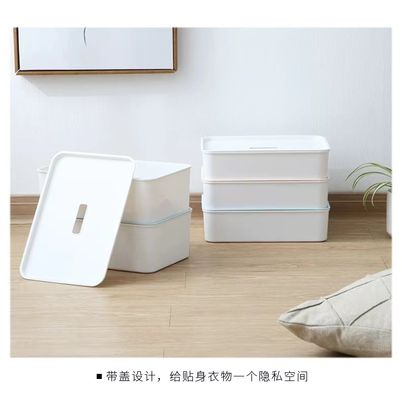 Q35-QY7250带盖空格内衣盒收纳盒内衣内裤衣服家居日用防尘整理盒详情图2