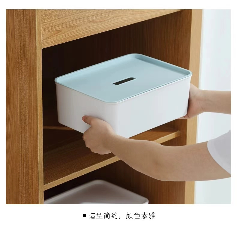 Q35-QY7250带盖空格内衣盒收纳盒内衣内裤衣服家居日用防尘整理盒详情图4