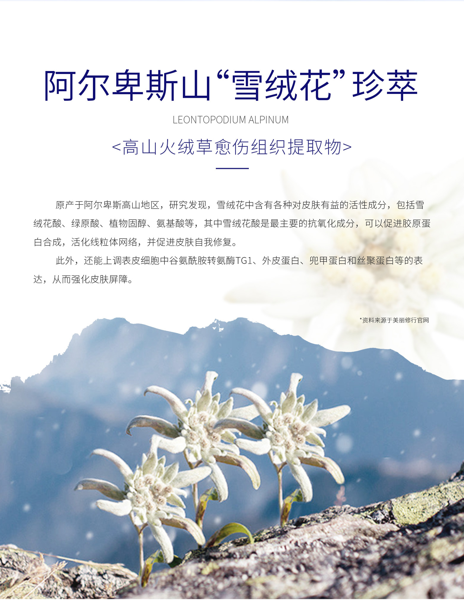 倾雪绒花嫩滑面膜详情2