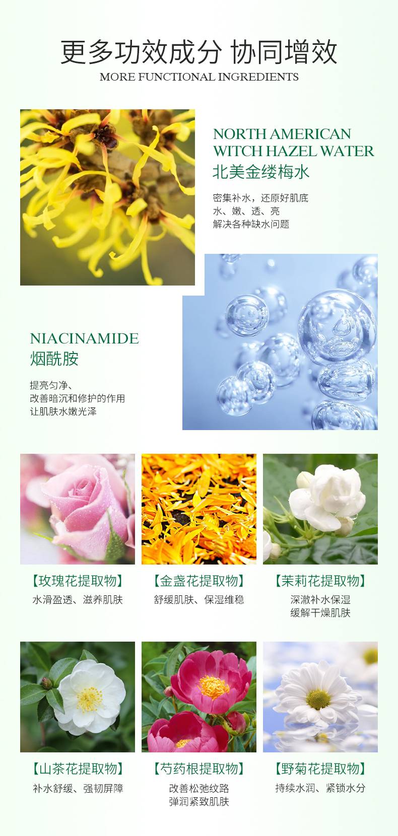 倾芬花密酵母菁萃露详情6