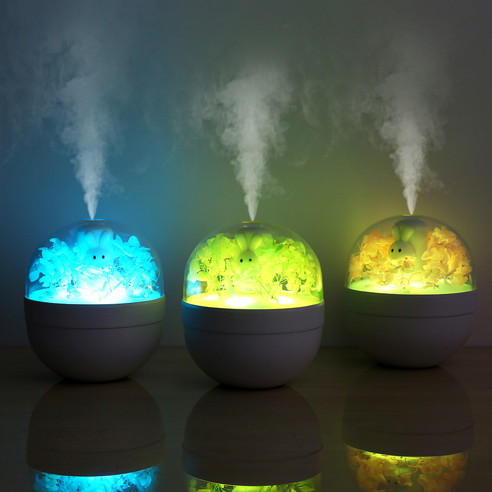 Eternal Flower USB Aroma Diffuser humidifier, Silent desktop, cute pet ambient light, air humidifier, aroma Diffuser Item Picture
