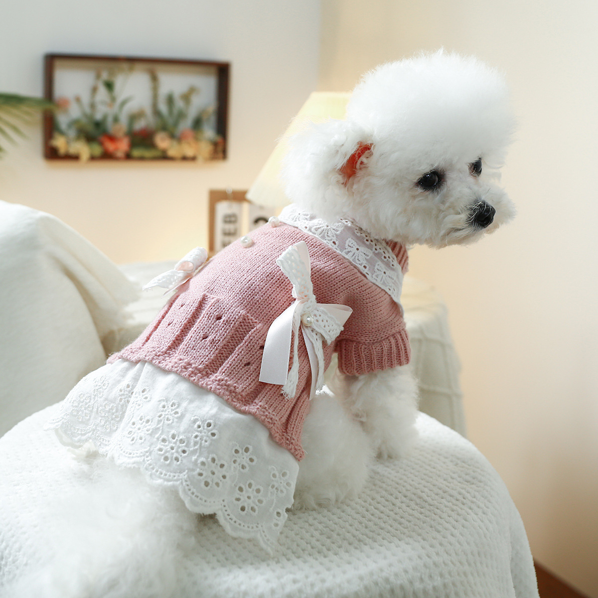 T Temperament Princess Cat Dog skirt Pet dog cat Autumn and winter warm comfortable home clothes wool dog clothes