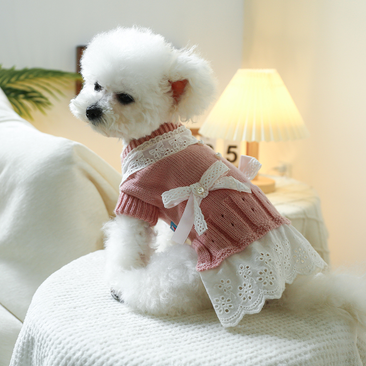 T Elegant princess cat and dog dress, warm and comfortable home clothes for pets, dogs and cats in autumn and winter, woolen dog clothes Item Picture